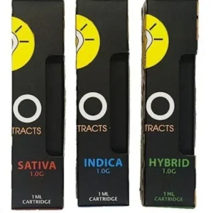Motion 2g Disposable