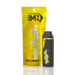 Motion 2g Disposable